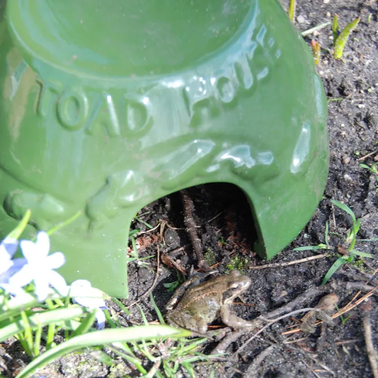 Abri crapaud en céramique
