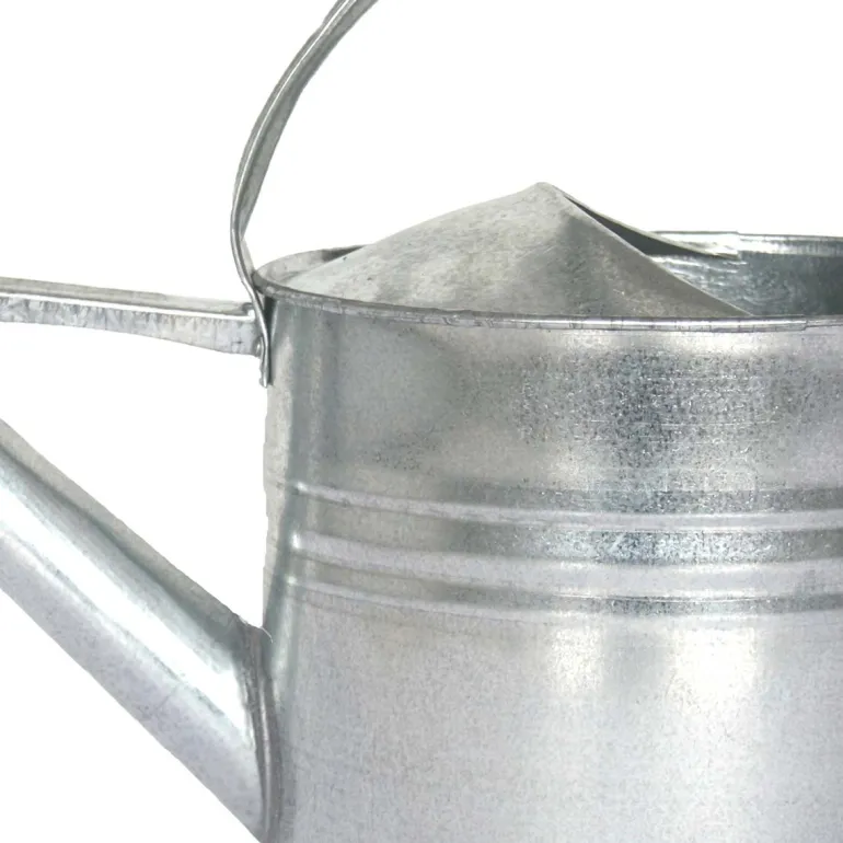 Arrosoir en zinc avec pomme d'arrosage amovible 8 litres