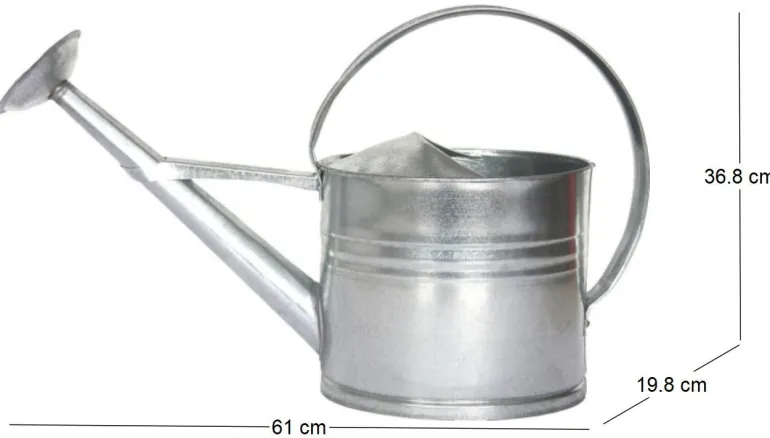 Arrosoir en zinc avec pomme d'arrosage amovible 8 litres