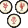 Assortiment de 3 cadres Corail