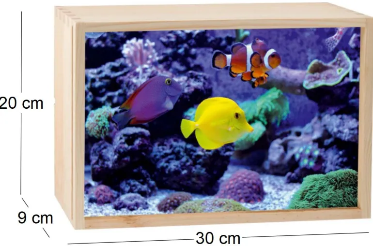 Boite lumineuse LED 30x20 cm (Aquarium)