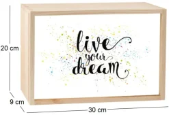 Boite lumineuse LED 30x20 cm (Live your dream)