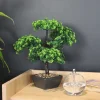 Bonsaï artificiel en pot 37 cm modèle aléatoire