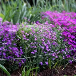 Bordure de jardin en métal Lawn 3m (Lot de 3)