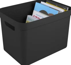Boîte de rangement Sigma Home Box 18L (Noir)