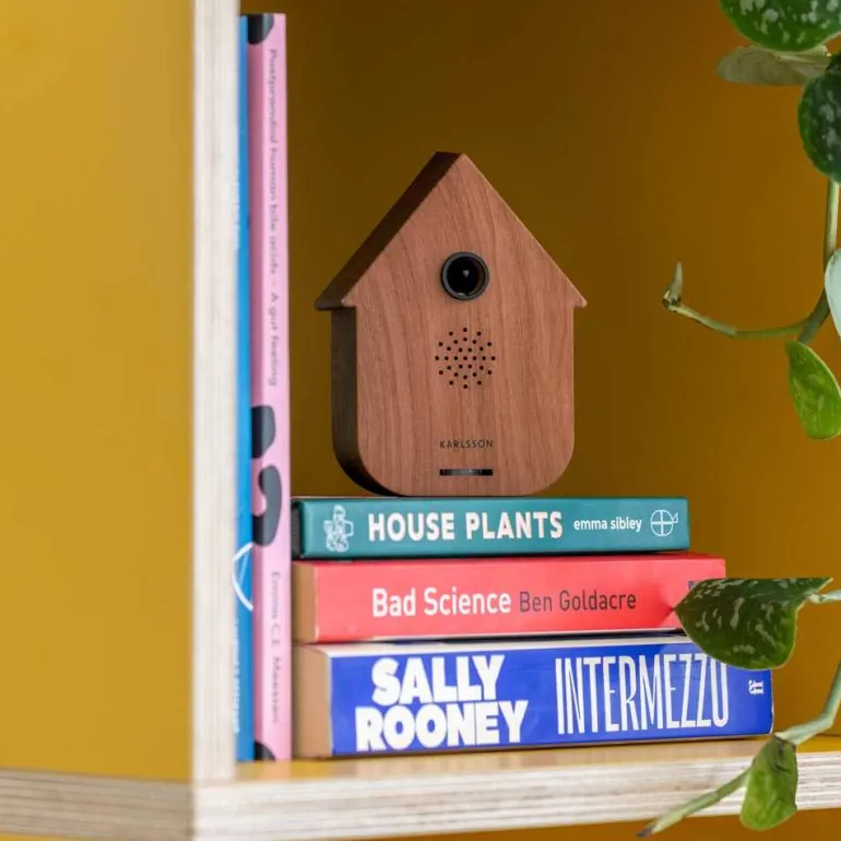 Boîte à son Modern Cuckoo (Bois foncé)