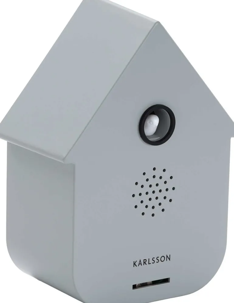 Boîte à son Modern Cuckoo (Gris souris)