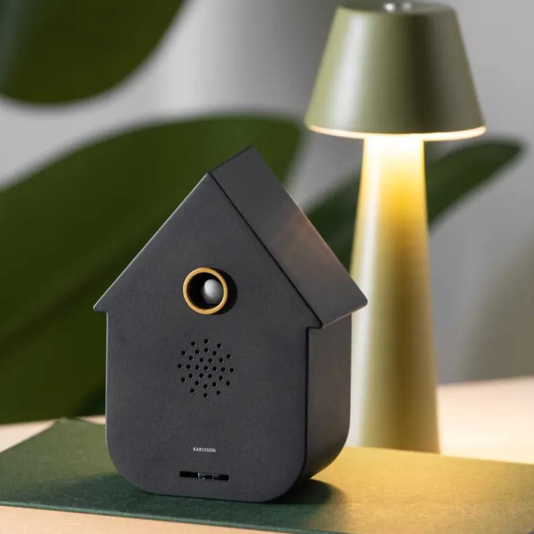 Boîte à son Modern Cuckoo (Noir)