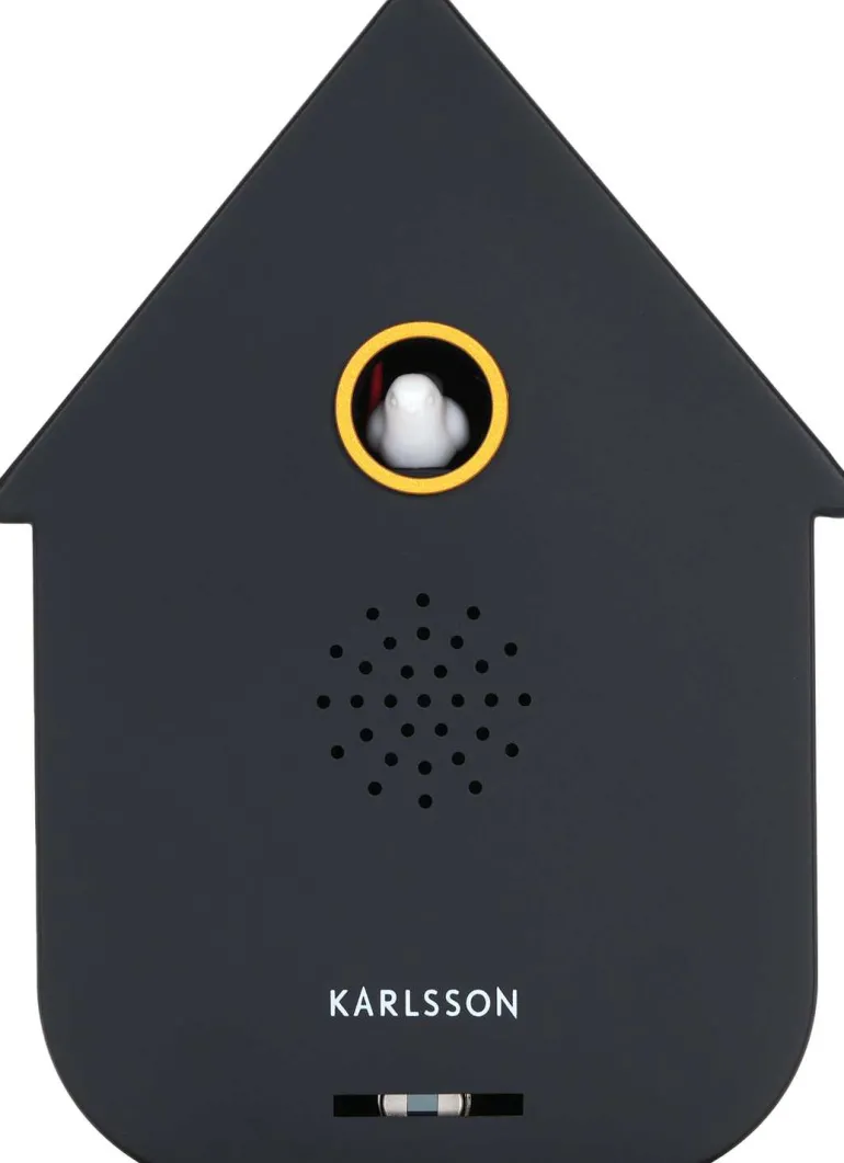 Boîte à son Modern Cuckoo (Noir)