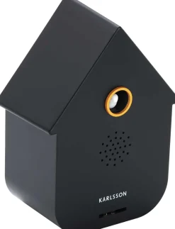 Boîte à son Modern Cuckoo (Noir)