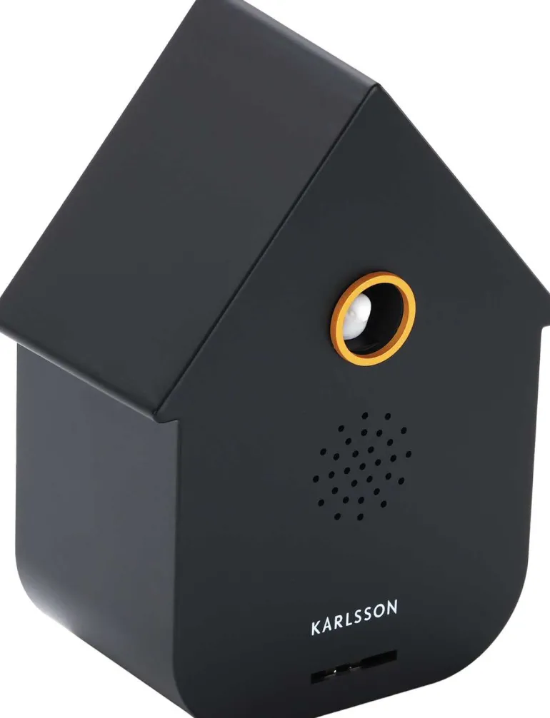 Boîte à son Modern Cuckoo (Noir)