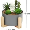 Bouddha avec plantes succulentes 16 x 14 cm (Gris)