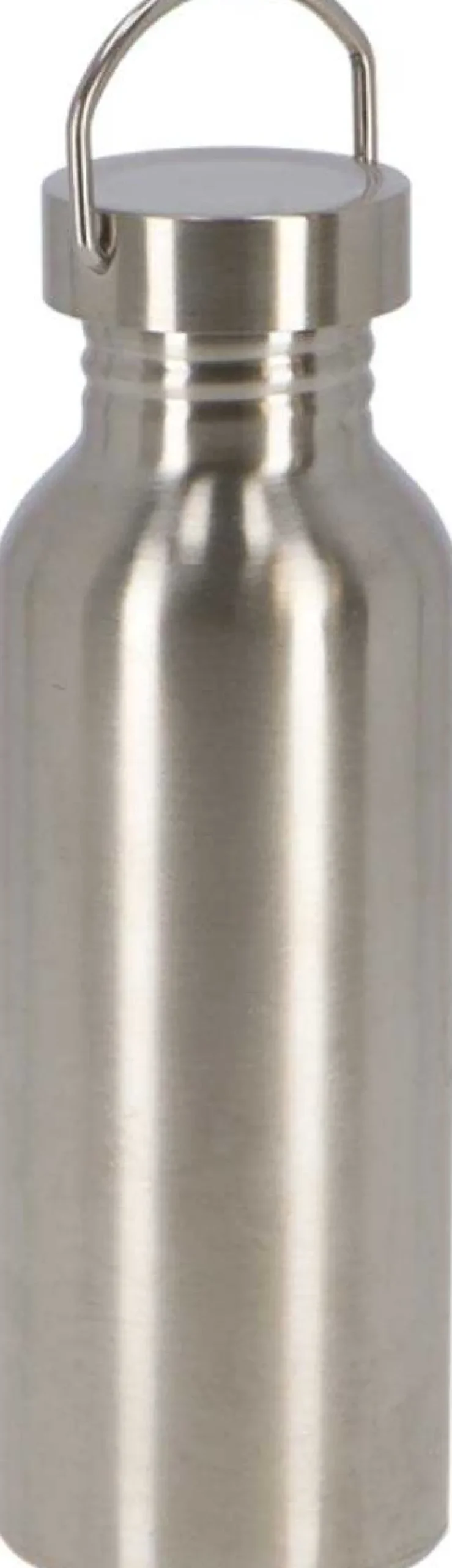 Bouteille en acier inoxydable 65 cl