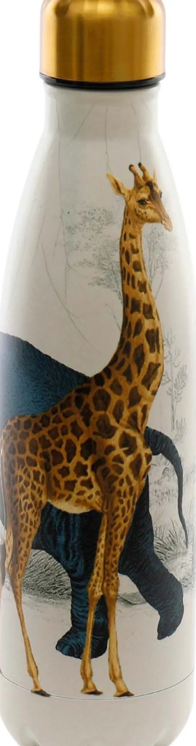 Bouteille isotherme en inox décorée 50 cl (Safari)