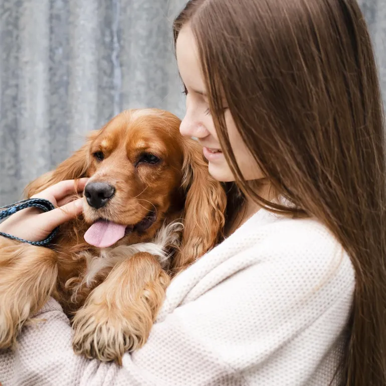 Brosse chien en soies claires et tiges de bois