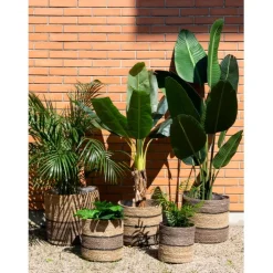 Cache-pots en jonc naturel et brun (Petit Modèle)