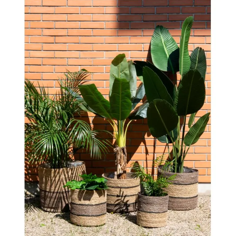Cache-pots en jonc naturel et brun (Petit Modèle)
