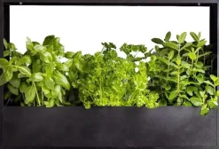 Cadre mural en fer pour plantes Garden (58 x 18 x 40 cm)