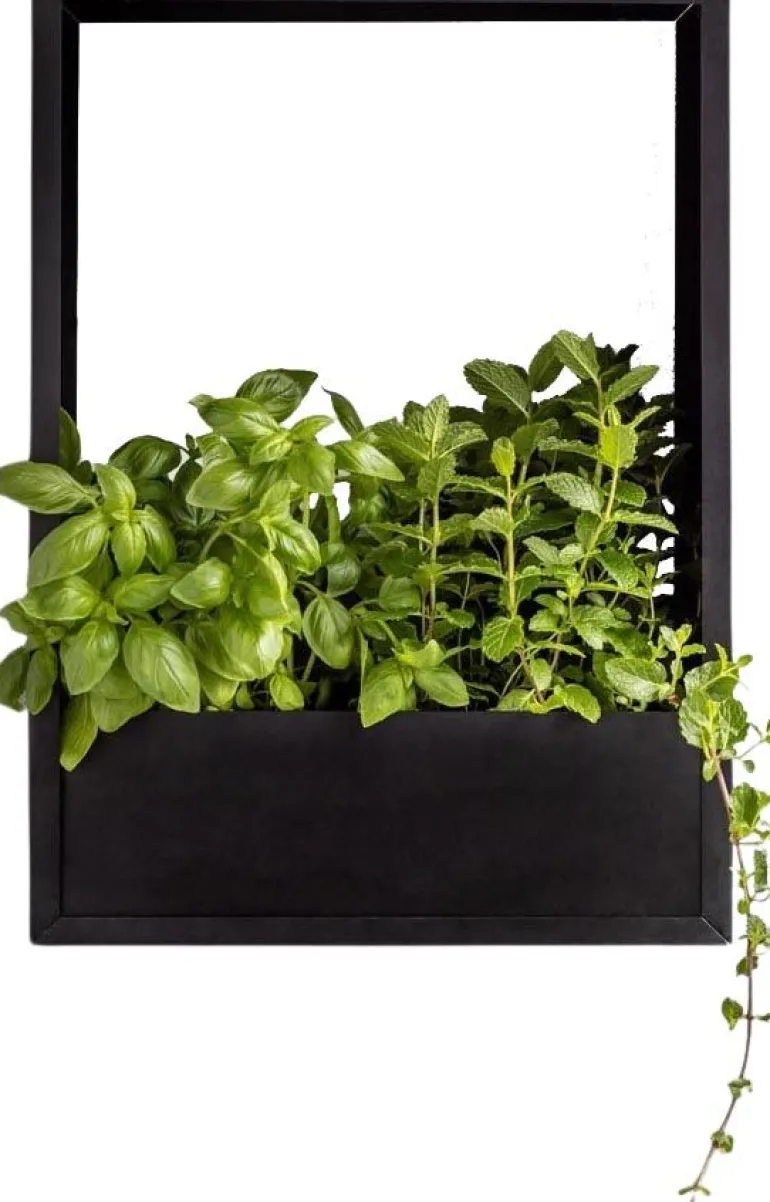 Cadre mural en fer pour plantes Garden (36 x 18 x 50 cm)