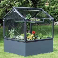 Carré potager premium avec serre Basic air