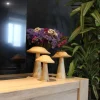Champignon déco en manguier (15 x 12 cm)