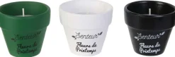 Coffret 3 bougies Nature candles