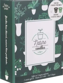 Coffret 3 bougies Nature candles