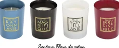Coffret de 4 bougies senteur fleur de coton You are