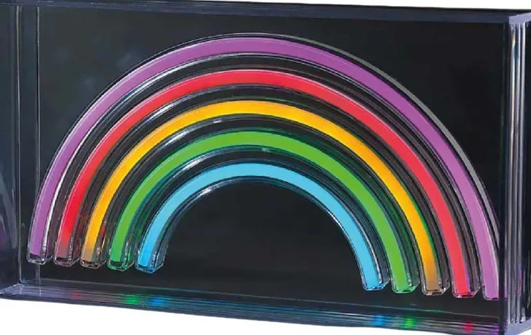 Décoration lumineuse led Néon (Arc en ciel)
