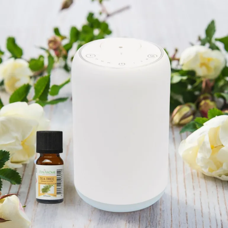 Diffuseur par nébulisation Movisia V2
