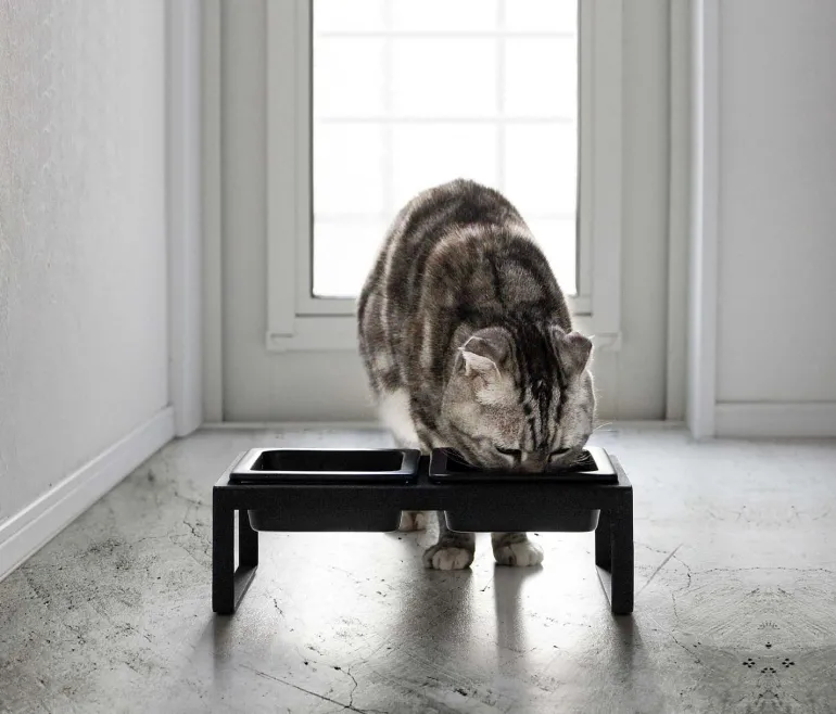 Double gamelle design surélevée pour chat Tower (Noir)