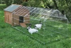 Enclos extérieur zingué avec bâche