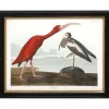 Ensemble de 3 cadres Oiseaux