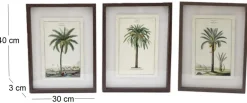 Ensemble de 3 cadres 30 x 40 cm Palmiers