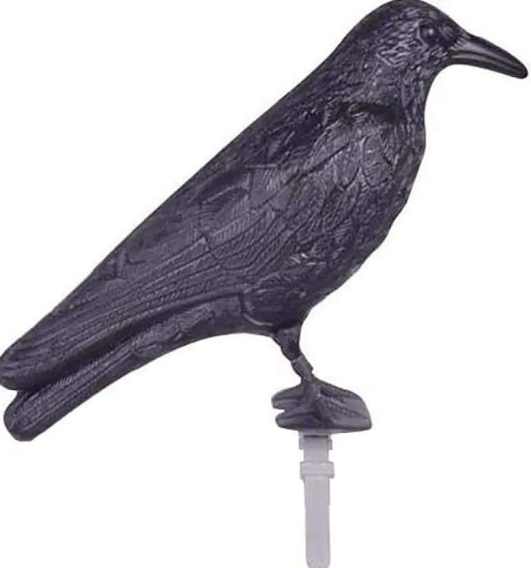 Epouvantail corbeau pour éloigner les pigeons