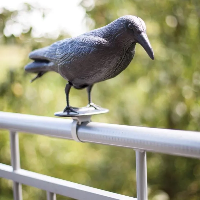 Epouvantail corbeau pour éloigner les pigeons