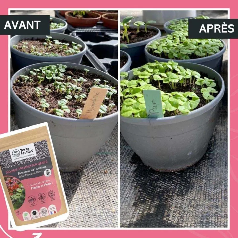 Fertilisant plantes et fleurs à base de mycorhizes 500 gr