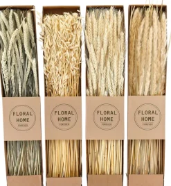 Fleurs séchées naturelles 60 cm Floral (Lot de 4)