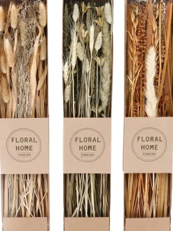 Fleurs séchées naturelles 60 cm Forever (Lot de 3)