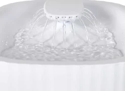 Fontaine à eau pour chat