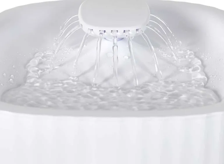 Fontaine à eau pour chat