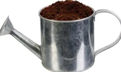 Graines à planter aromates avec arrosoirs (Lot de 2)