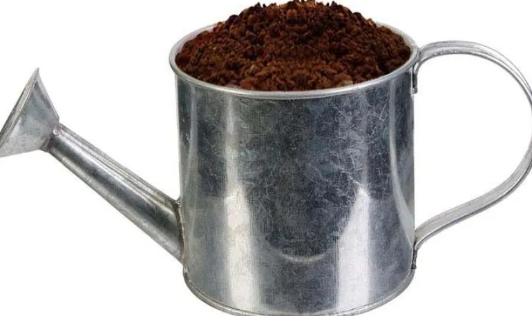 Graines à planter aromates avec arrosoirs (Lot de 2)