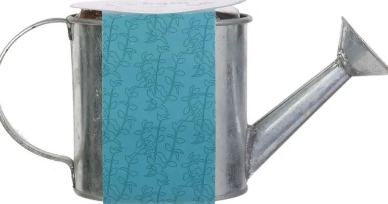 Graines à planter aromates avec arrosoirs (Lot de 2)