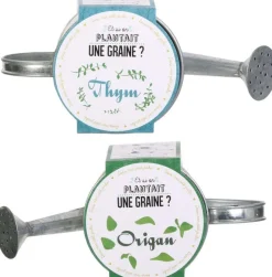Graines à planter aromates avec arrosoirs (Lot de 2)