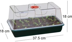 Grand plateau en plastique de semis