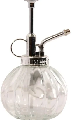 Humidificateur pour plantes en verre (Transparent)