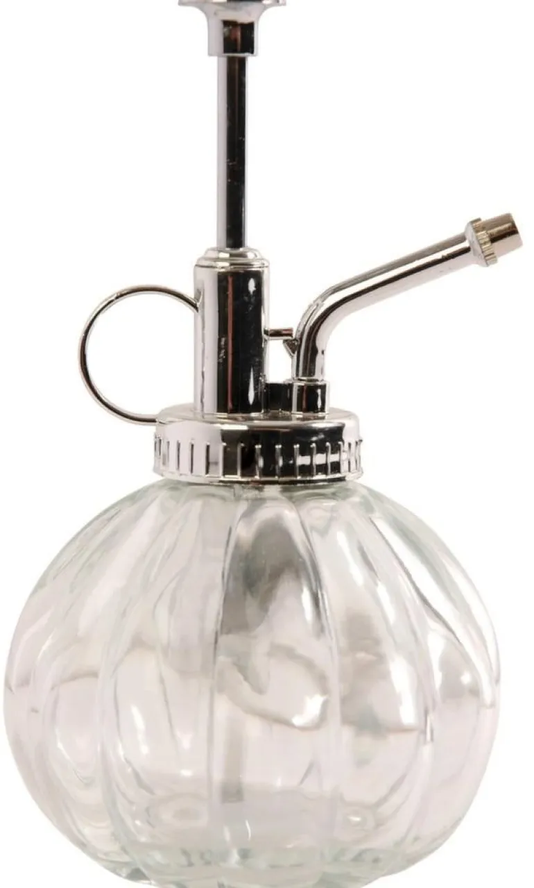 Humidificateur pour plantes en verre (Transparent)