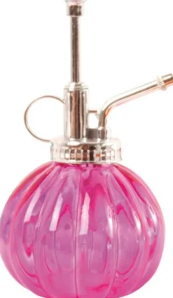 Humidificateur pour plantes en verre (Rose)