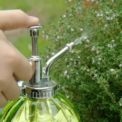 Humidificateur pour plantes en verre (Rose)